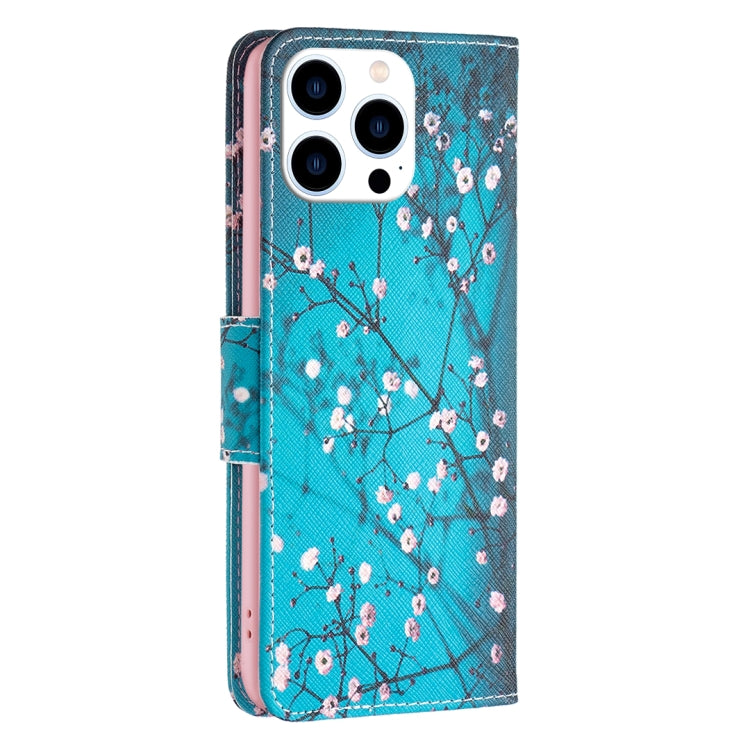 For iPhone 16 Pro Max Colored Drawing Pattern Leather Phone Case(Plum Blossom) by buy2fix