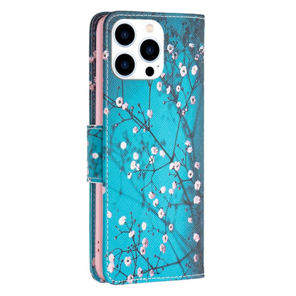 For iPhone 16 Pro Max Colored Drawing Pattern Leather Phone Case(Plum Blossom) by buy2fix