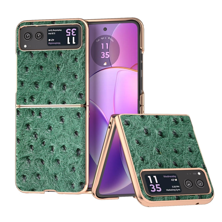 For Motorola Razr 40 Nano Plating Genuine Leather Ostrich Texture Phone Case(Green) by buy2fix