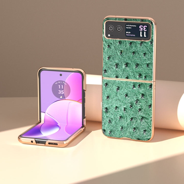 For Motorola Razr 40 Nano Plating Genuine Leather Ostrich Texture Phone Case(Green) by buy2fix