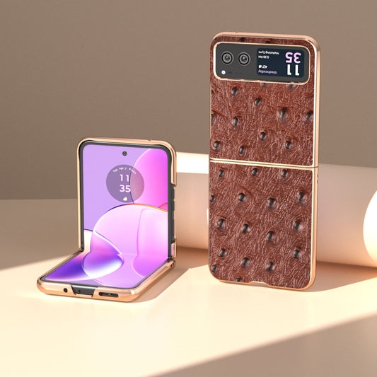For Motorola Razr 40 Nano Plating Genuine Leather Ostrich Texture Phone Case(Coffee) - Motorola Cases by buy2fix | Online Shopping UK | buy2fix