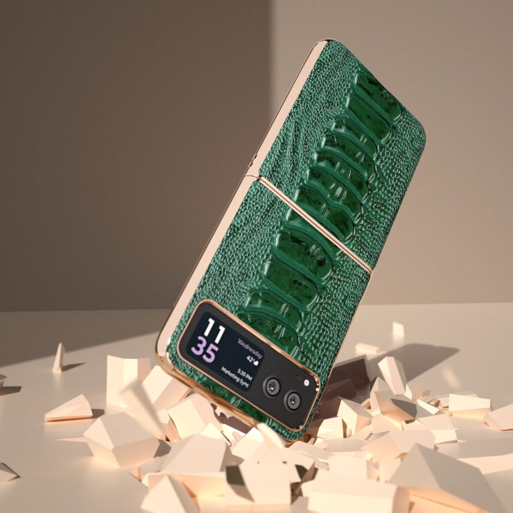 For Motorola Razr 40 Nano Plating Genuine Leather Weilai Series Phone Case(Green) by buy2fix