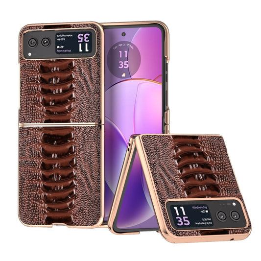 For Motorola Razr 40 Nano Plating Genuine Leather Weilai Series Phone Case(Coffee) - Motorola Cases by buy2fix | Online Shopping UK | buy2fix