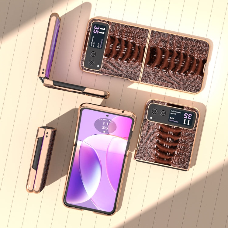 For Motorola Razr 40 Nano Plating Genuine Leather Weilai Series Phone Case(Coffee) - Motorola Cases by buy2fix | Online Shopping UK | buy2fix