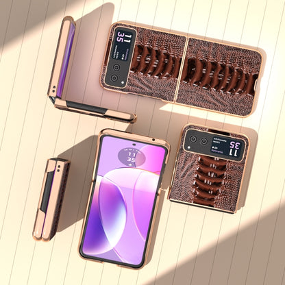 For Motorola Razr 40 Nano Plating Genuine Leather Weilai Series Phone Case(Coffee) - Motorola Cases by buy2fix | Online Shopping UK | buy2fix