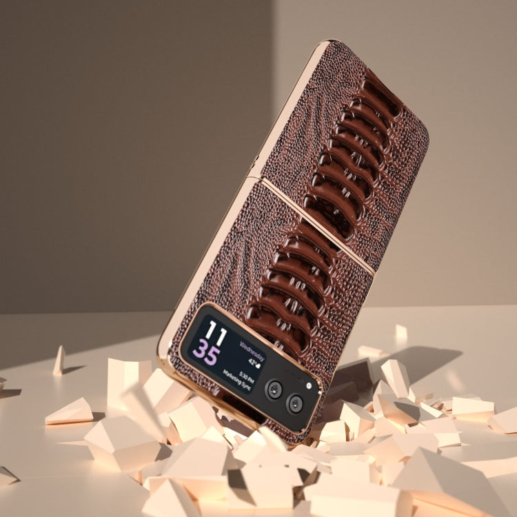 For Motorola Razr 40 Nano Plating Genuine Leather Weilai Series Phone Case(Coffee) - Motorola Cases by buy2fix | Online Shopping UK | buy2fix