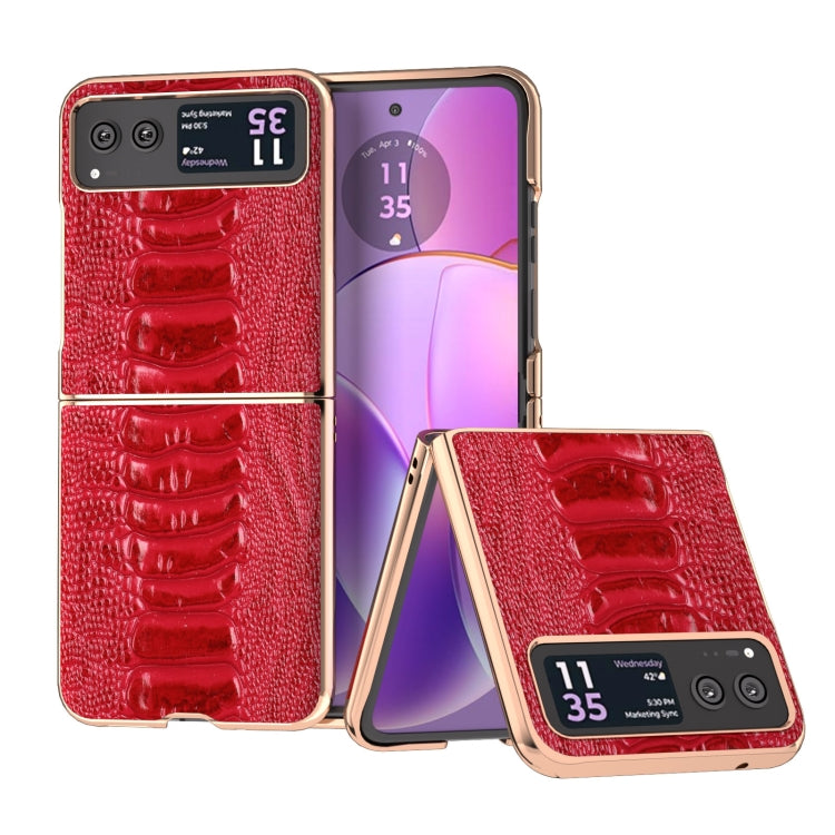For Motorola Razr 40 Nano Plating Genuine Leather Weilai Series Phone Case(Red) - Motorola Cases by buy2fix | Online Shopping UK | buy2fix