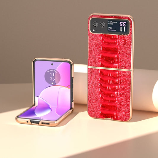 For Motorola Razr 40 Nano Plating Genuine Leather Weilai Series Phone Case(Red) - Motorola Cases by buy2fix | Online Shopping UK | buy2fix