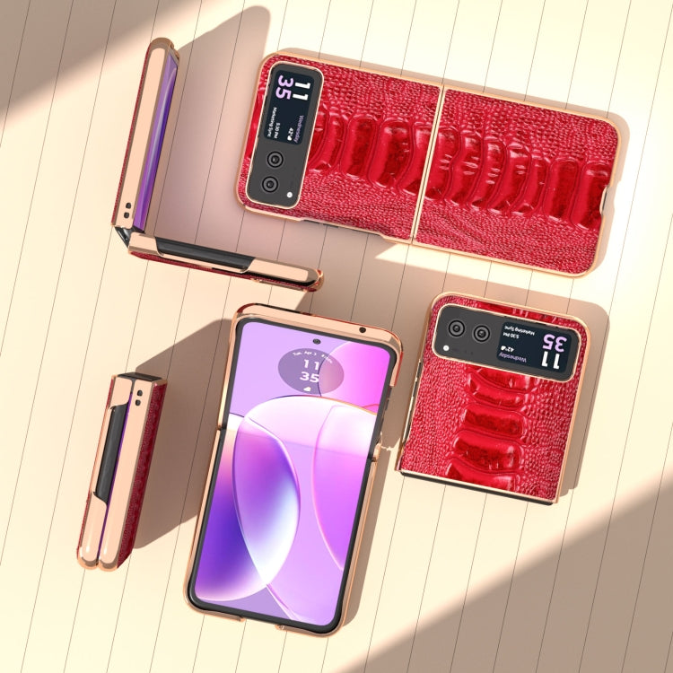For Motorola Razr 40 Nano Plating Genuine Leather Weilai Series Phone Case(Red) - Motorola Cases by buy2fix | Online Shopping UK | buy2fix