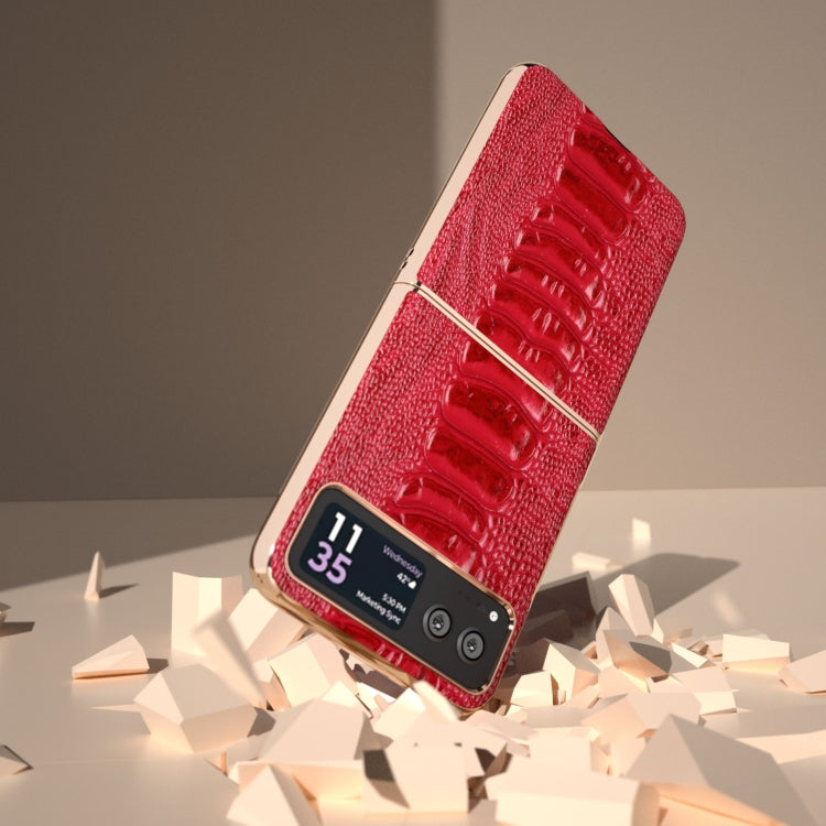 For Motorola Razr 40 Nano Plating Genuine Leather Weilai Series Phone Case(Red) - Motorola Cases by buy2fix | Online Shopping UK | buy2fix