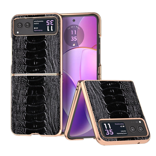 For Motorola Razr 40 Nano Plating Genuine Leather Weilai Series Phone Case(Black) - Motorola Cases by buy2fix | Online Shopping UK | buy2fix