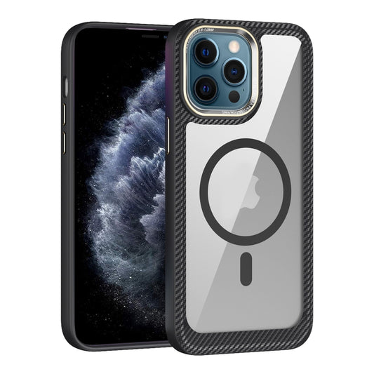 For iPhone 11 Pro Max MagSafe Carbon Fiber Transparent Back Panel Phone Case(Black) by buy2fix
