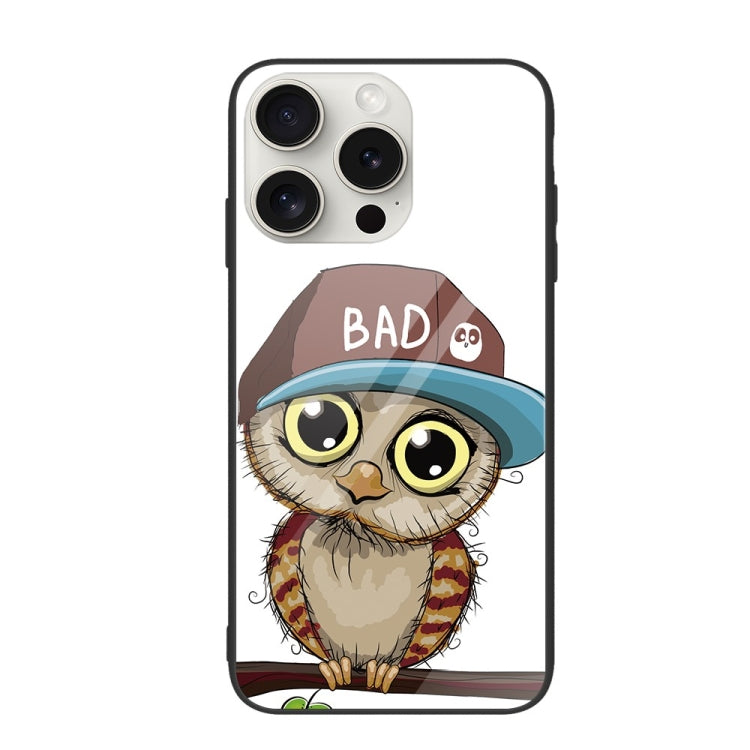 For iPhone 16 Pro Max Colorful Painted Glass Phone Case(Owl) by buy2fix