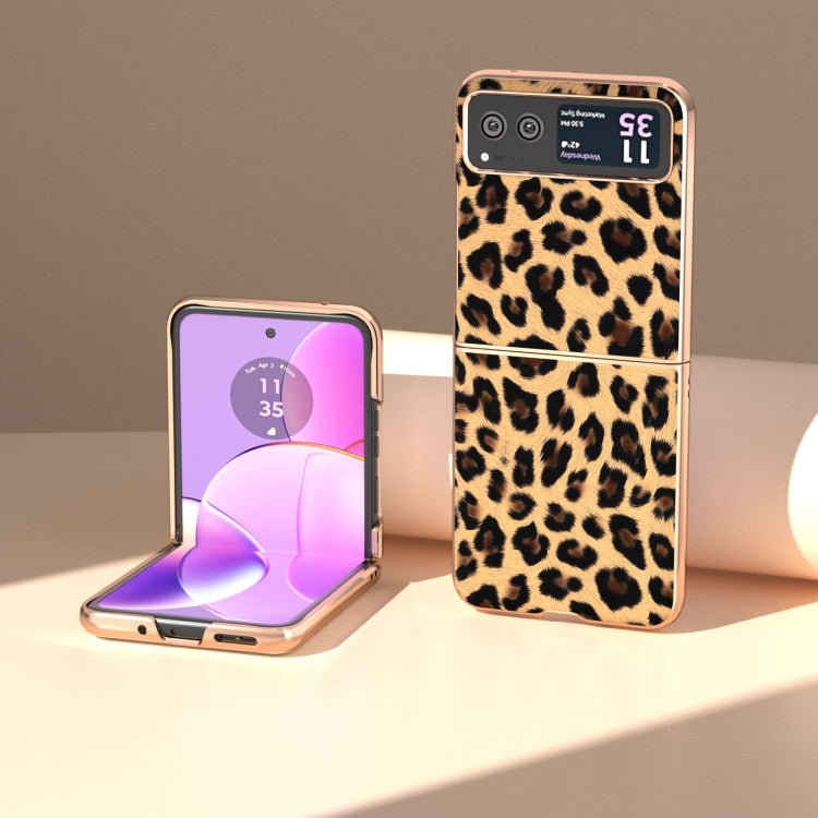 For Motorola Razr 40 Nano Plating Leopard Print Phone Case(Brown) by buy2fix