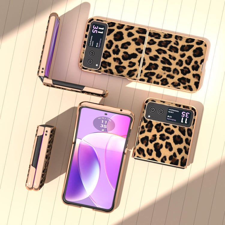 For Motorola Razr 40 Nano Plating Leopard Print Phone Case(Brown) by buy2fix