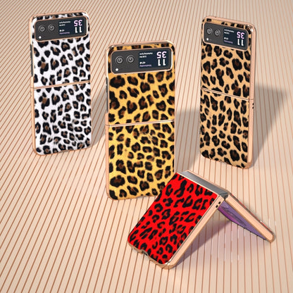 For Motorola Razr 40 Nano Plating Leopard Print Phone Case(Brown) by buy2fix