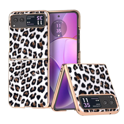 For Motorola Razr 40 Nano Plating Leopard Print Phone Case(Silver) by buy2fix