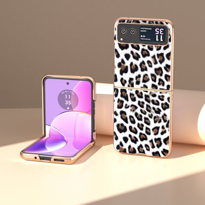 For Motorola Razr 40 Nano Plating Leopard Print Phone Case(Silver) by buy2fix