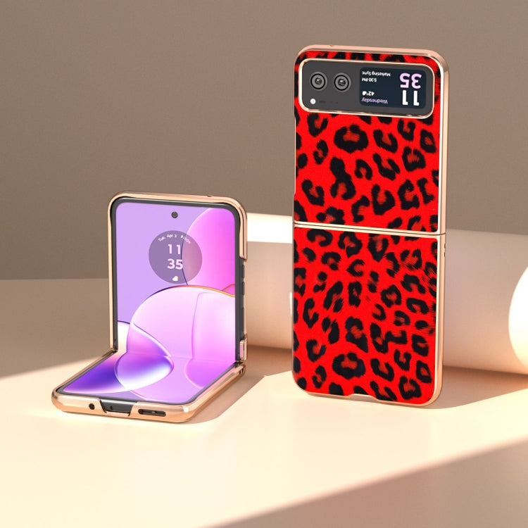 For Motorola Razr 40 Nano Plating Leopard Print Phone Case(Red) by buy2fix