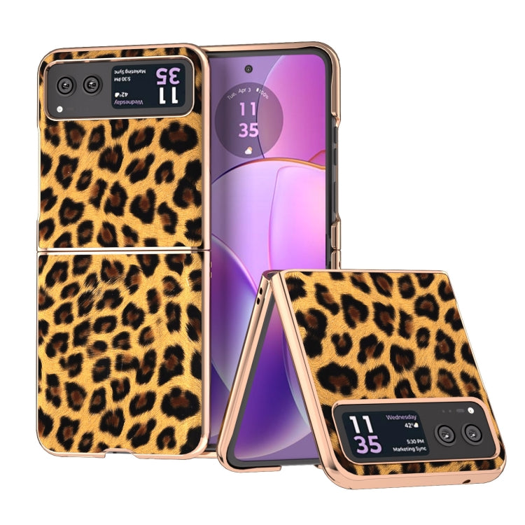 For Motorola Razr 40 Nano Plating Leopard Print Phone Case(Gold) by buy2fix