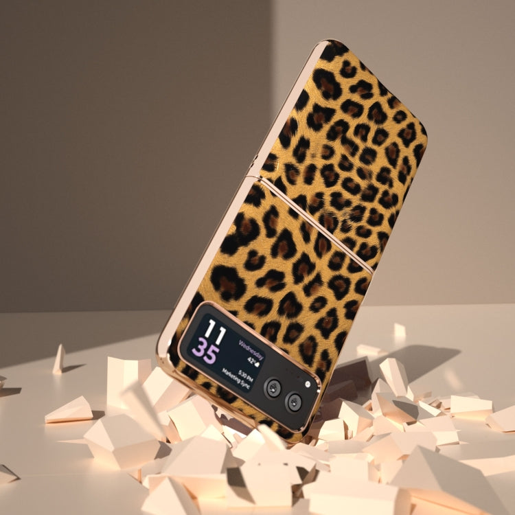 For Motorola Razr 40 Nano Plating Leopard Print Phone Case(Gold) by buy2fix
