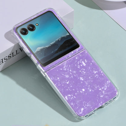 For Motorola Razr 40 Ultra Shell Pattern Glitter Shockproof Phone Case(Purple) - Motorola Cases by buy2fix | Online Shopping UK | buy2fix