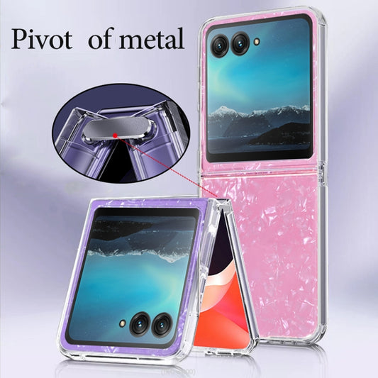 For Motorola Razr 40 Ultra Shell Pattern Glitter Shockproof Phone Case(Purple) - Motorola Cases by buy2fix | Online Shopping UK | buy2fix