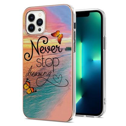 For iPhone 16 Pro Electroplating Pattern IMD TPU Shockproof Case(Dream Chasing Butterfly) by buy2fix