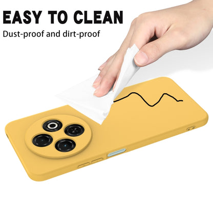 EDA005100713B_7.jpg@d8ca25be4a0430ce9538ec22149f3f94