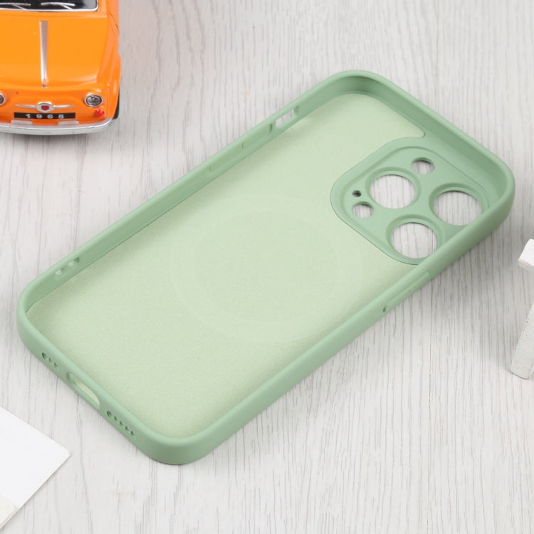 For iPhone 16 Pro Liquid Silicone Magsafe Phone Case(Green) by buy2fix