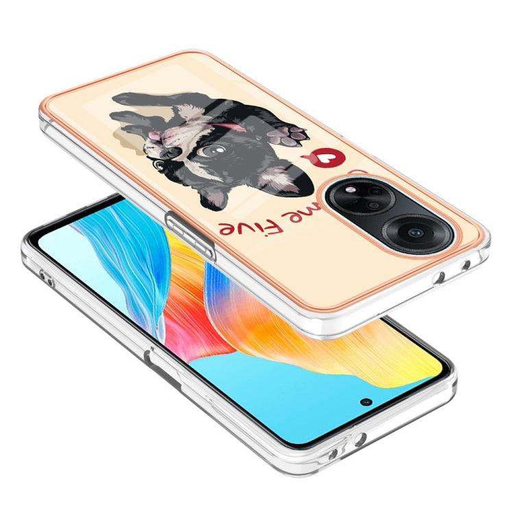 For OPPO A98 Electroplating Marble Dual-side IMD Phone Case(Lucky Dog) by buy2fix