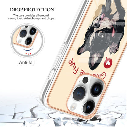 For iPhone 16 Pro Electroplating Marble Dual-side IMD Phone Case(Lucky Dog) by buy2fix