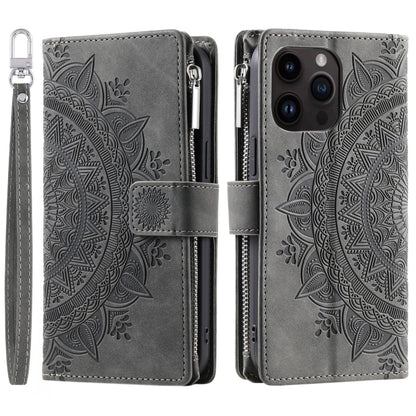 For iPhone 16 Pro Multi-Card Totem Zipper Leather Phone Case(Grey) by buy2fix