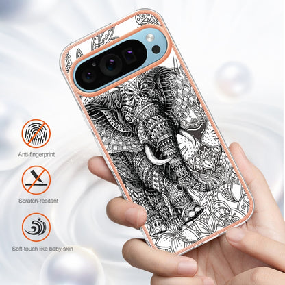 For Google Pixel 9 / 9 Pro Electroplating Dual-side IMD Phone Case(Totem Elephant) by buy2fix