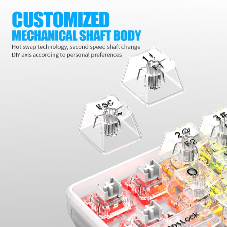 XUNFOX K30 Pro 2.4G + BT + Wired Transparent 61-Keys Mechanical White Axis Keyboard(Black) by buy2fix