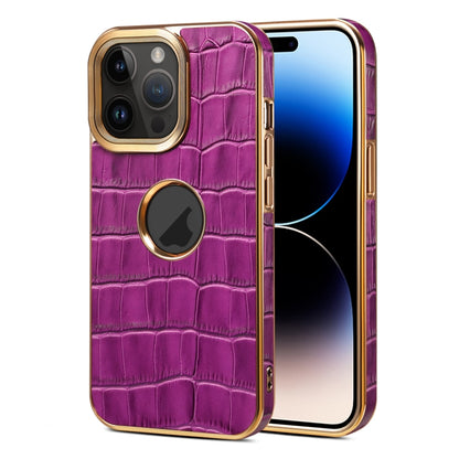 For iPhone 15 Pro Denior Crocodile Texture Genuine Leather Electroplating Phone Case(Purple) - iPhone 15 Pro Cases by Denior | Online Shopping UK | buy2fix
