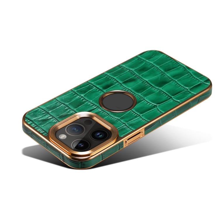 For iPhone 15 Pro Denior Crocodile Texture Genuine Leather Electroplating Phone Case(Green) - iPhone 15 Pro Cases by Denior | Online Shopping UK | buy2fix