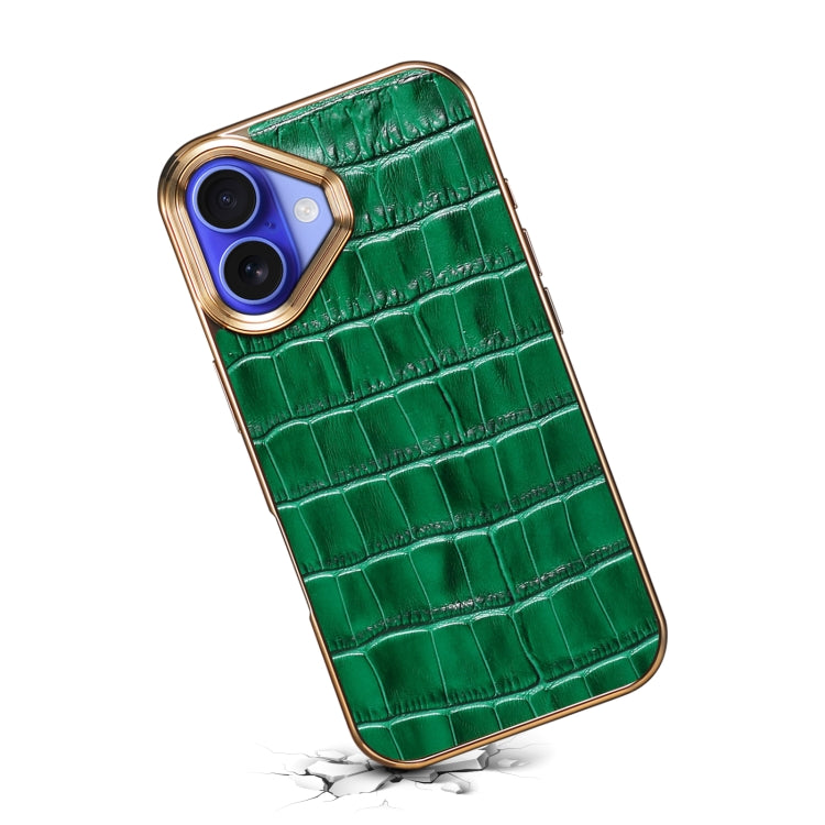 For iPhone 16 Plus Denior Crocodile Texture Genuine Leather Electroplating Phone Case(Green) by Denior