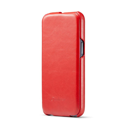 For iPhone 15 Pro Fierre Shann Oil Wax Texture Vertical Flip PU Phone Case(Red) - iPhone 15 Pro Cases by FIERRE SHANN | Online Shopping UK | buy2fix