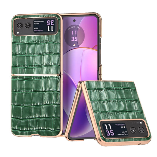 For Motorola Razr 40 Crocodile Texture Genuine Leather Electroplating Phone Case(Dark Green) - Motorola Cases by buy2fix | Online Shopping UK | buy2fix