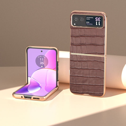 For Motorola Razr 40 Crocodile Texture Genuine Leather Electroplating Phone Case(Brown) by buy2fix