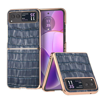 For Motorola Razr 40 Crocodile Texture Genuine Leather Electroplating Phone Case(Blue) by buy2fix