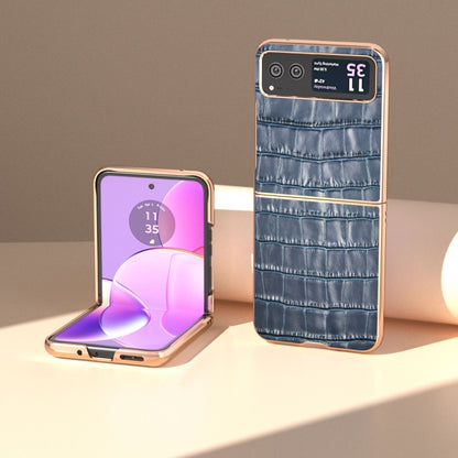 For Motorola Razr 40 Crocodile Texture Genuine Leather Electroplating Phone Case(Blue) by buy2fix