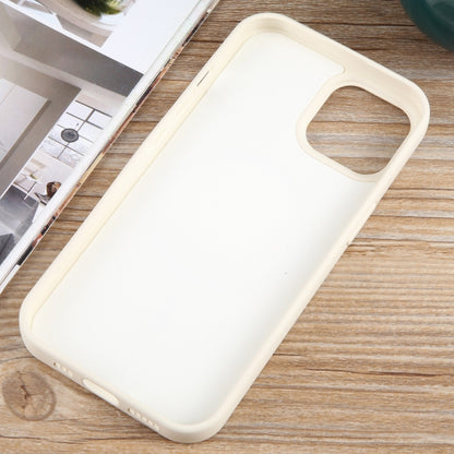 For iPhone 12 MagSafe Liquid Silicone Phone Case(White) by buy2fix