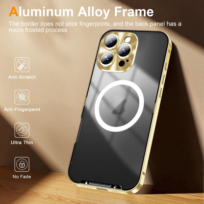 For iPhone 16 Pro Max Frosted MagSafe Magnetic Metal Phone Case(Gold) - iPhone 16 Pro Max Cases by buy2fix | Online Shopping UK | buy2fix