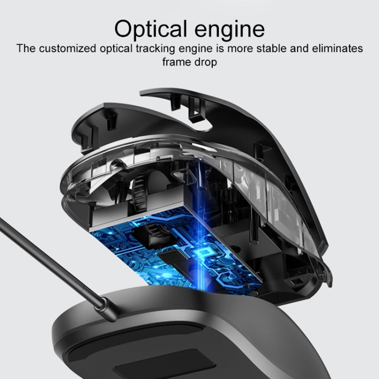 EDA0059544_4.jpg@3d4641c8322d43abe0a94e562dc49e9a