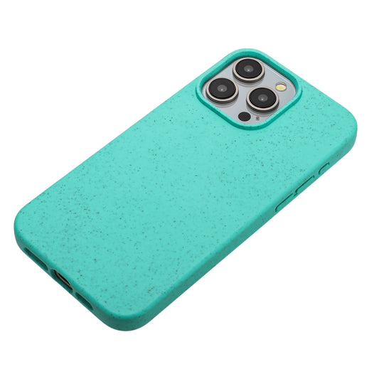 For iPhone 12 Pro Max Wheat MagSafe Magnetic Straw Material + TPU Phone Case(Green) by buy2fix