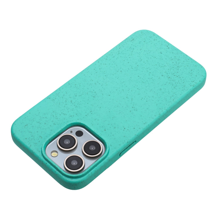 For iPhone 12 Pro Max Wheat MagSafe Magnetic Straw Material + TPU Phone Case(Green) by buy2fix