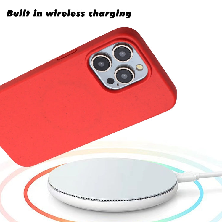 For iPhone 12 Pro Wheat MagSafe Magnetic Straw Material + TPU Phone Case(Red) by buy2fix