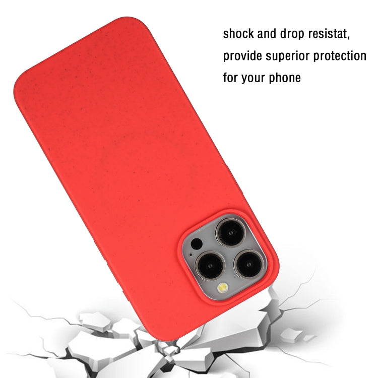 For iPhone 11 Pro Wheat MagSafe Magnetic Straw Material + TPU Phone Case(Red) by buy2fix